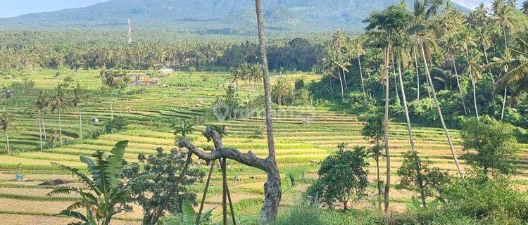 Land For Sale With Good View At Karangasem 1