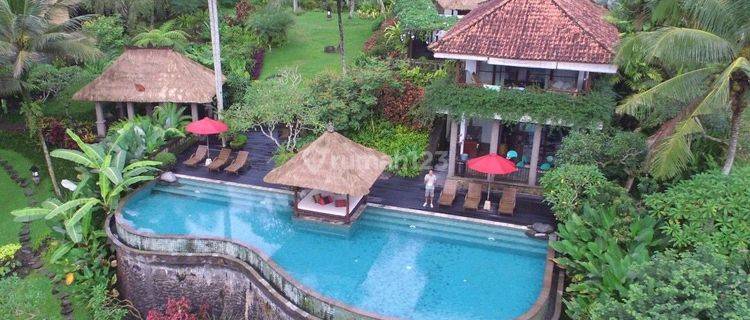 Private Luxurious 4 Bedrooms Villa Bayad In Payangan Ubud 1