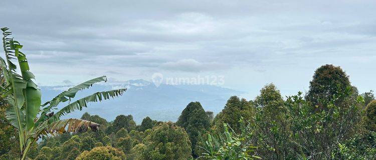 Dijual Tanah View Gunung Laut Dan Sunset di Gobleg Buleleng 1