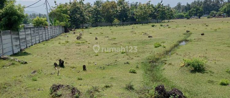 Dijual Tanah Untuk Tambak Udang Di Daerah Singaraja 1