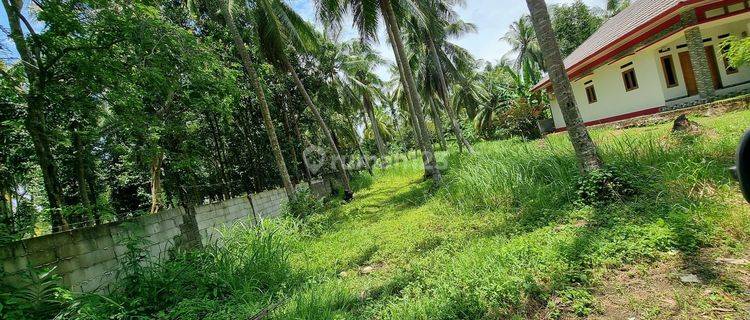 Tanah DS. Sindanglaya Kec. Cinangka, Serang Banten 1