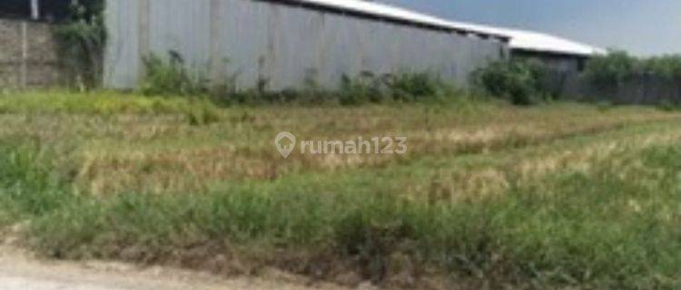 Tanah industri di Kalitengah karangawen dijual murah saja 1