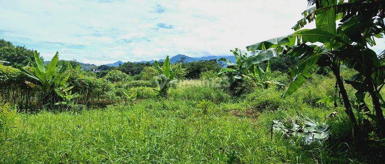 Jual Tanah Lokasi Strategis, View Gunung, Tanah Level, Cocok Buat Investasi Jangka Panjang di Citaringgul Bogor 1