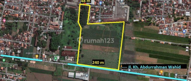 N844 Dijual Tanah di Pilang Kademangan Probolinggo Jatim 66.000m2 1