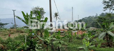 TANAH UNTUK KEBUN ATAU VILLA 1