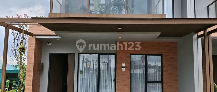 The Forestine Cluster Cedarwood Type Cedar 7 1