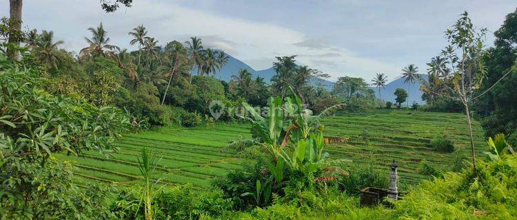 Tanah Padat Cocok Untuk Villa Dekat Wisata Hot Spring Tabanan  1