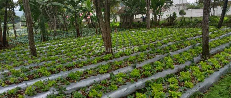 Tanah Padat Siap Bangun Di Mainroad Kolonel Masturi Cocok Untuk Berbagai Usaha Kabupaten Bandung 1