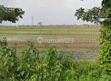 Tanah Sawah Cocok Untuk Di Jadikan Lahan Komersil Di Mainroad Jalan Pener Margaasih Bandung 1