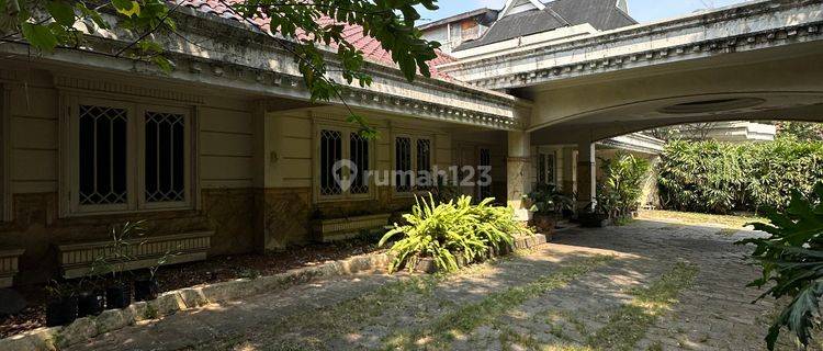 Rumah Elite Dekat Jl. Cendana Suwiryo, Menteng, Area Tenang Dengan Akses Jalan Lebar 1