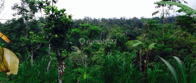 Dijual Tanah Luas View Sungai di Tegalalang Ubud Gianyar Bali