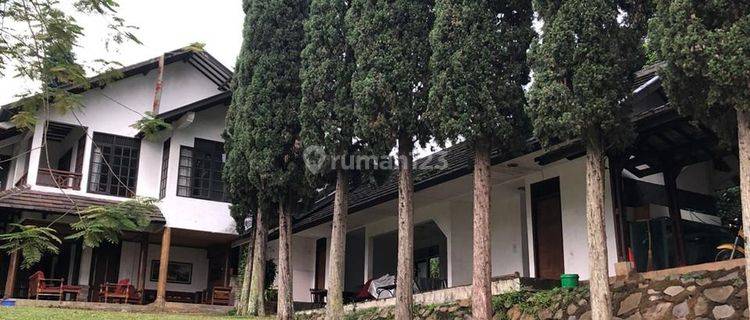 Villa Asri dengan Kolam Renang di Bandung Utara Setiabudi 1