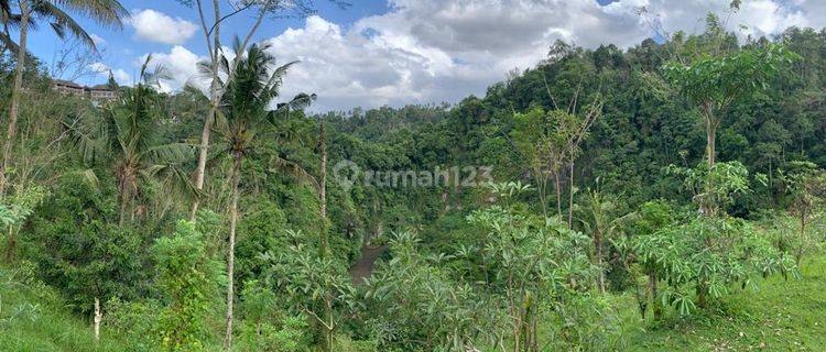 Tanah River View Lokasi Dekat Hotel Como Shambala Payangan Gianyar 1