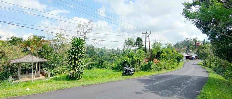 Land suitable for a shophouse in Pupuan Tabanan Village Main Street 1