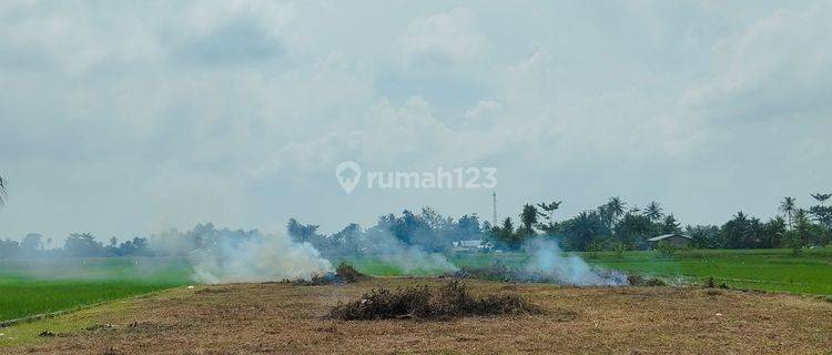 Dijual Sebidang Tanah Darat di Jl. Raya Tebingtinggi, Suka Damai, Sei Bambam Serdang Bedagai SHM 1