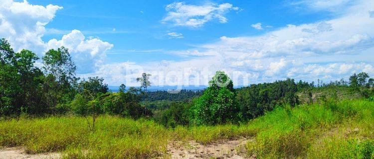 Tanah Industri Balikpapan Samping Pelabuhan Peti Kemas Kariangau 1