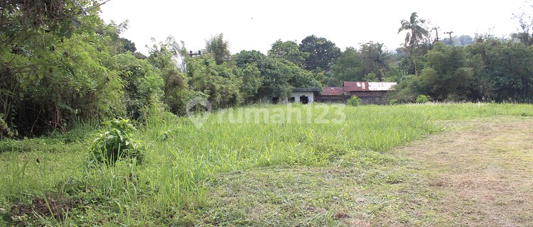 Kesempatan Emas bagi  Investor Filantropi , lahan 2 hektar - Cibadak Sukabumi  dapat menjadi tempat Panti Werdha atau Pesantren yang Bagus dengan situasi yang sejuk dan nyaman dengan adanya TOLL baru dari Jakarta , bisa langsung ke Cibadak Sukabumi 1