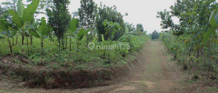 Lahan Untuk Industri Purwakarta Darangdan Luas Tanah 4,67 Hektar 1