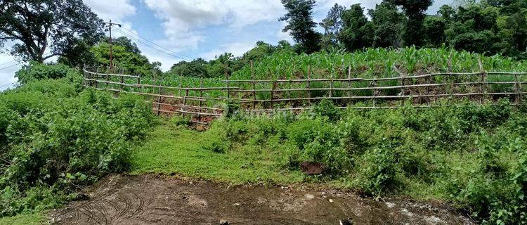 Dijual Tanah Sekitar Bili bili, Bonto Marannu, Gowa 1
