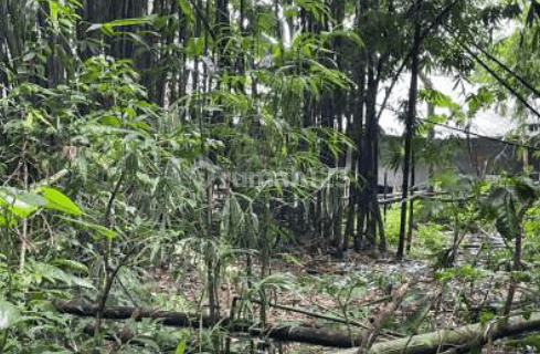 Tanah di Gowa Sekitar Pallangga, Gowa
, Gowa 1