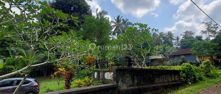 Tanah Murah Banget Peruntukan Perumahan di Tabanan Penebel Bali 1