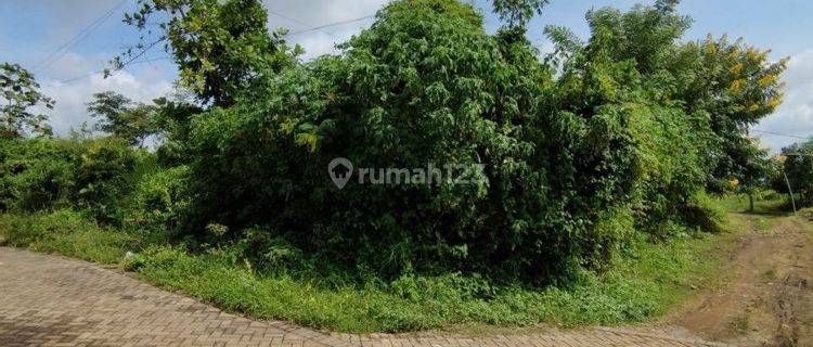 Jual Murah Tanah Luas View Cakep Di Perumahan Joyo Agung 1