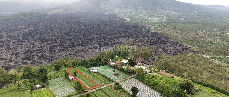 Tanah 8are Dengan Full View Black Lava Gunung Batur Kintamani 1