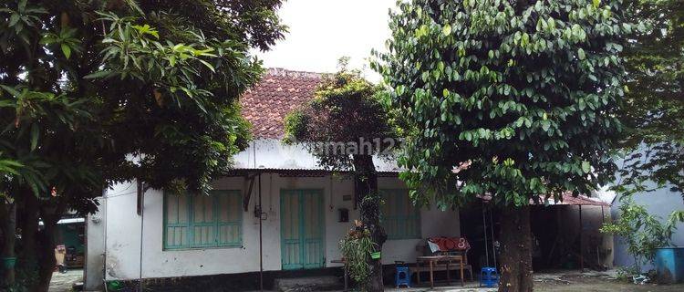 Rumah Pendopo Halaman Luas Dekat Jalan Bantul dan Ringrod Selatan Yogyakarta 1