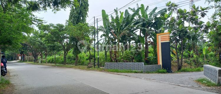 Land with an area of 4781 m² with SHM certificate on Jln Raya Krokosono. 1