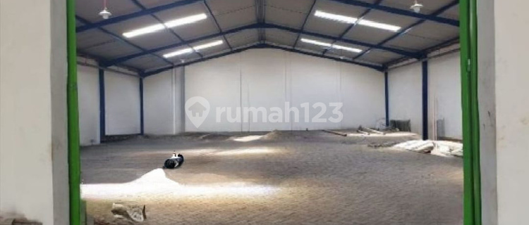 Disewakan Gudang LIK didaerah Genuk,Semarang 1