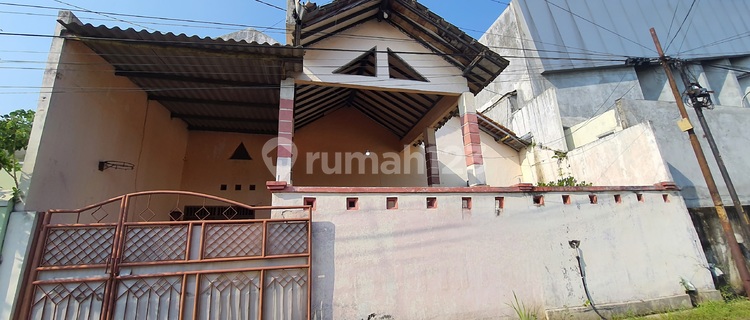 Dijual Rumah Butuh Minim Renovasi Shm Di Tanah Mas Bebas Banjir 1