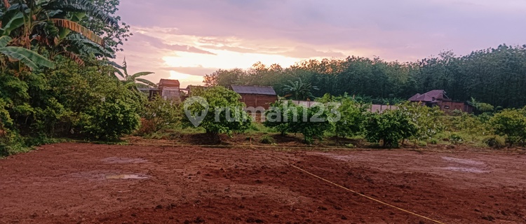 Tanah Murah Dekat Pemukiman Di Ngaliyan 1