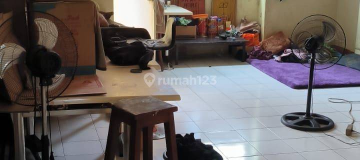 Ruko Taman Palem.murah  1