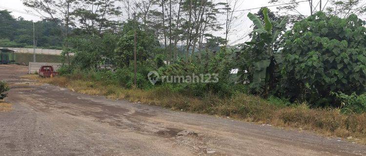 Tanah Di Jl Cagak Subang Jalan Mobil Besar Cocok Untuk Kebun 1