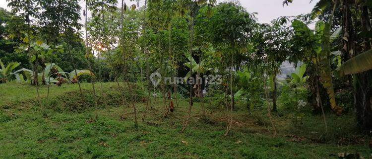 Jual Tanah Kavling Di Hegarsari Hegarmanah Cidadap Bandung Utara 1
