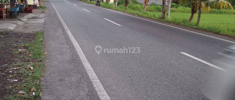 Tanah Sawah Pinggir Jalan Utama Jembrana Bali 1