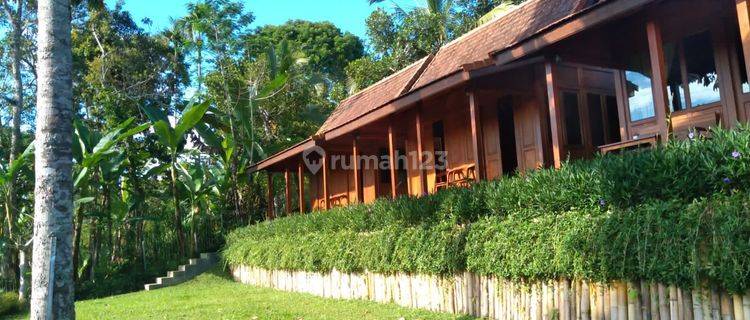 For Sale Spa Villa Payangan Near Ubud Bali 1