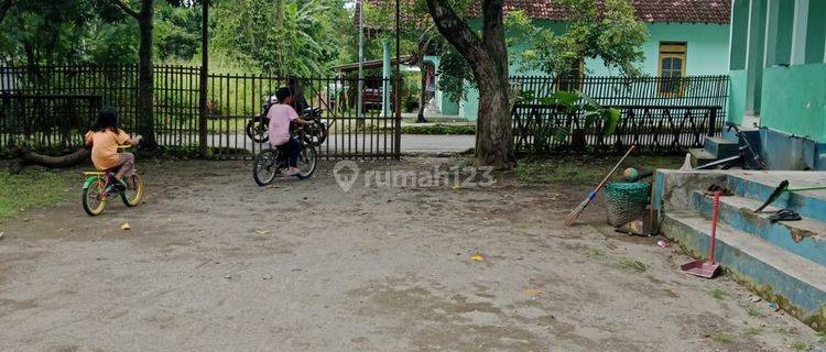 Dijual Cepat Bawah Hrga Pasaran Tanah Strategis Cocok Kaving Maguwoharjo 1