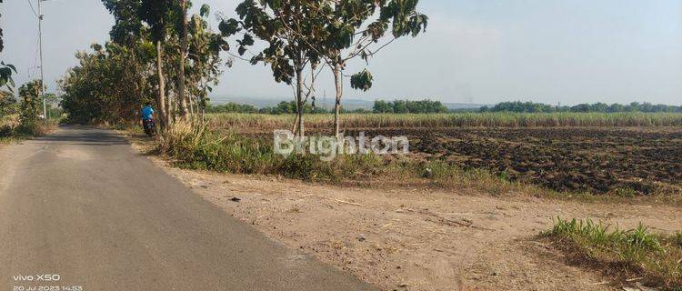 Tanah luas dan muraah puool.daerah mojokerto jawatimur 1
