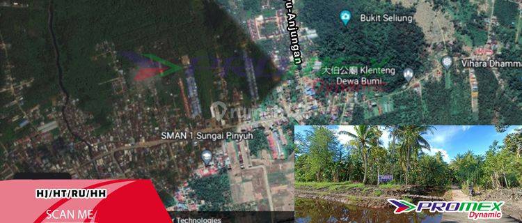Tanah Perkebunan Cocok Untuk Perumahan Jl. Raya Sui.pinyu Anjungan Kalimantan Barat hj  1