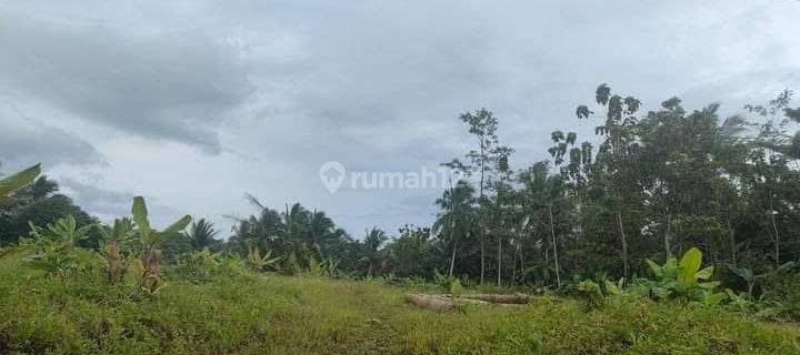 Lahan Kosong Lokasi Pinggir Jalan Raya di Pandeglang,Banten 1