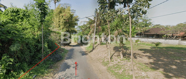 Pa43 Tanah di Pantai Sedayu Klungkung, Semarapura 600 m² 1