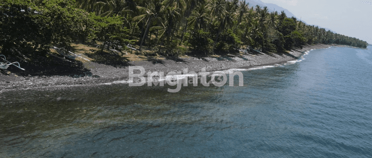 Premium Roadside and Beachside Land in Buleleng 1