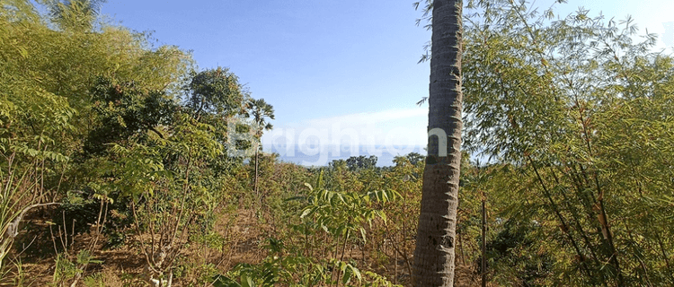 Cheap Land with Sea View Suitable for Bondalem Villa 1