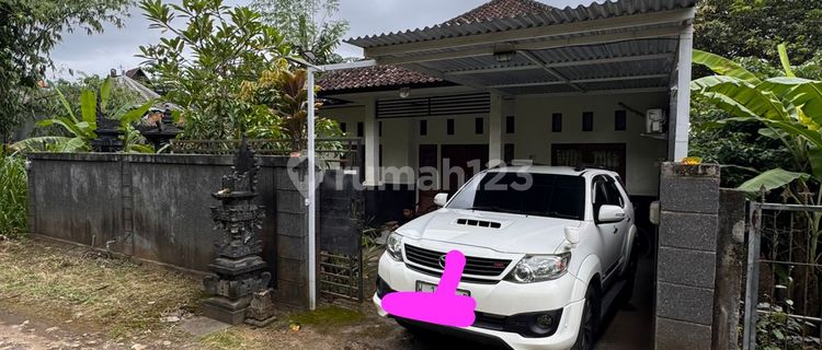 Pa162 Dijual Rumah 1 Lantai Siap Huni di Singaraja Buleleng 1