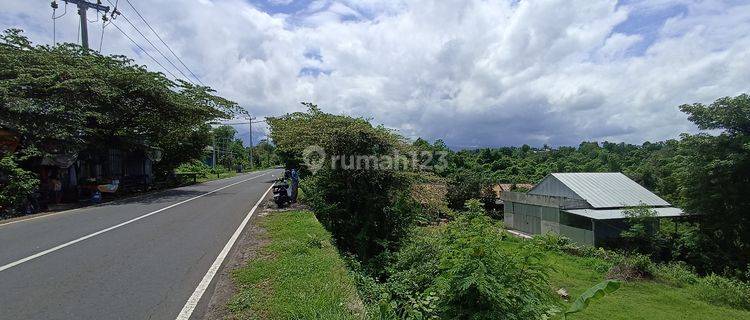 Pa100 Tanah Pinggir Jalan Raya di Kubutambahan Buleleng 1