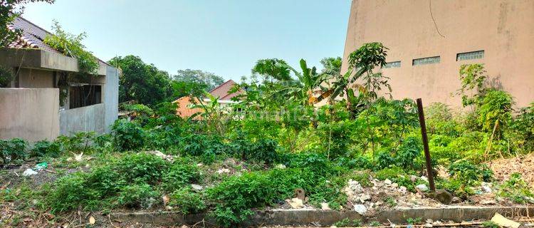 Tanah Didaerah Telaga Bodas, Bersebelahan Dengan Perumahan Permata Semeru. Posisi Tanah Diatas kiri, Kanan Dan Belakang Lebih Rendah Sehingga Rumah Akan Sejuk. Jalan Buntu Sehingga Tenang Untuk Dihuni 1