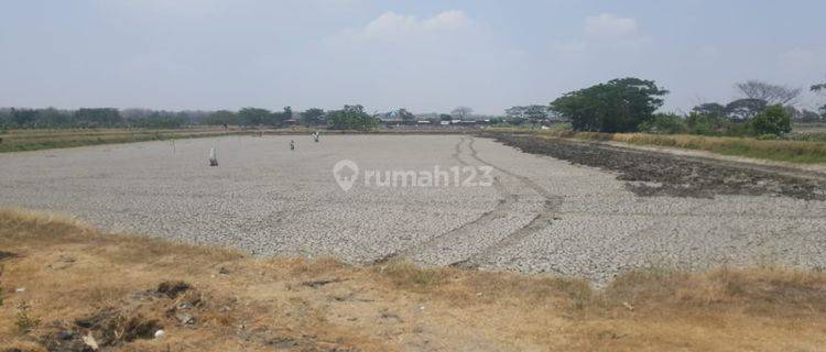 Tanah Murah Raya Bungah Gresik 1