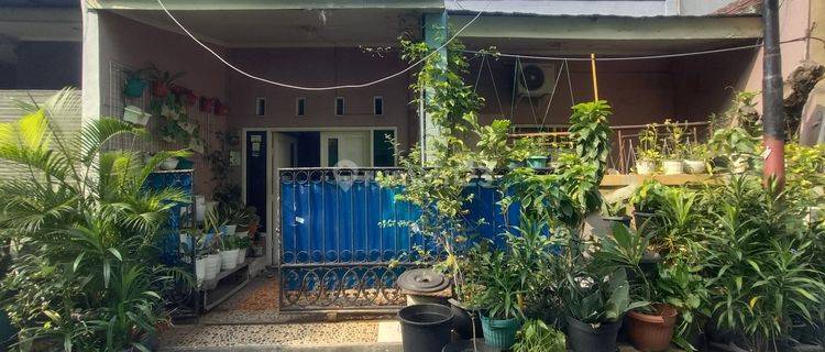 Rumah Mungil Di Komplek Bea Cukai Kelapa Gading Jakarta Utara 1