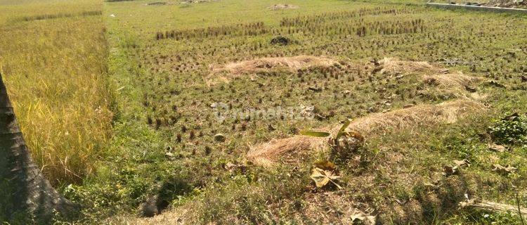 Tanah Untuk Perumahan Subsidi Cihampelas Bandung Barat 1